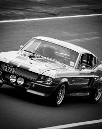 Photo Ford Shelby GT500